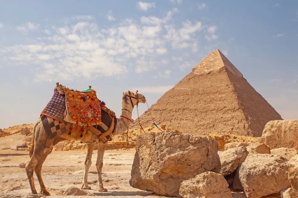 holiway travel egypt deve piramitler gize